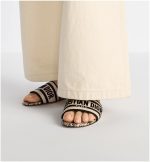 Dway Slide - Image 2